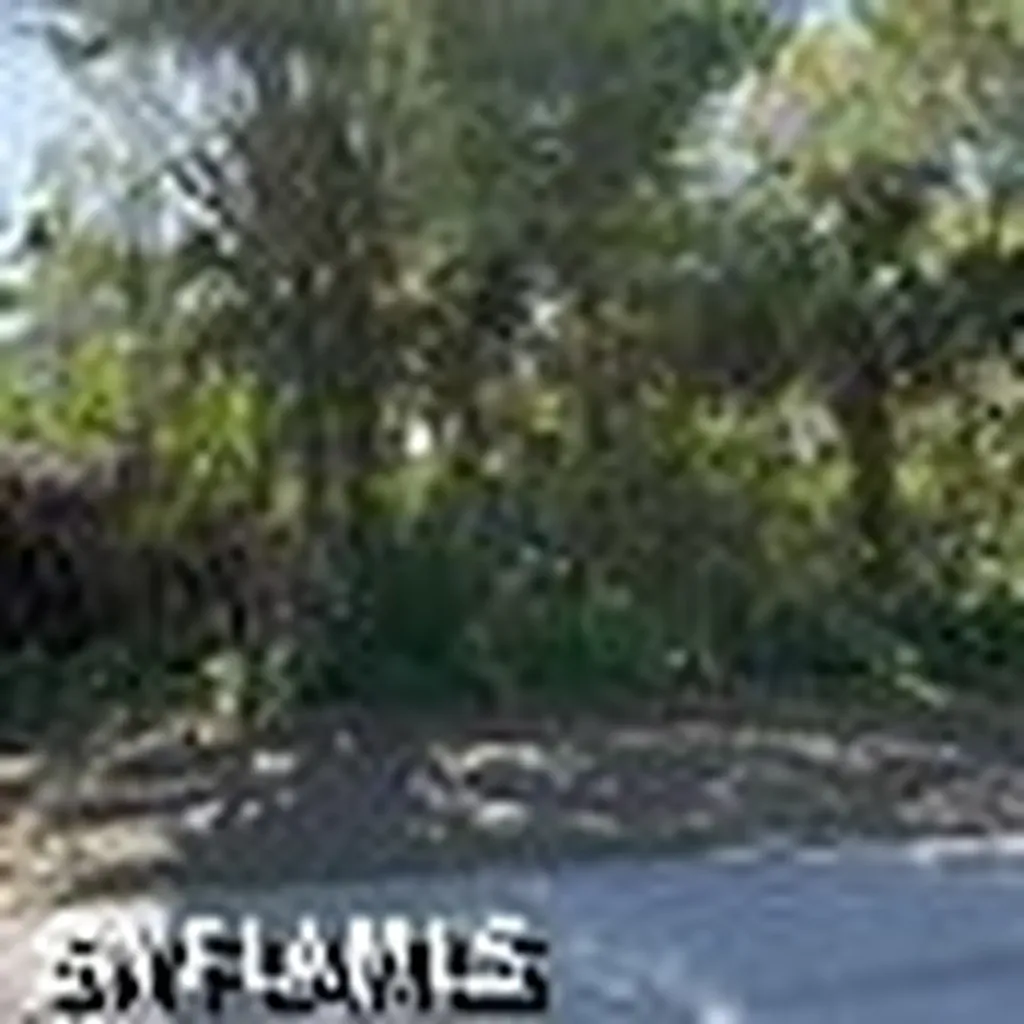 3859 Heyburn Street Fort Myers FL 33905