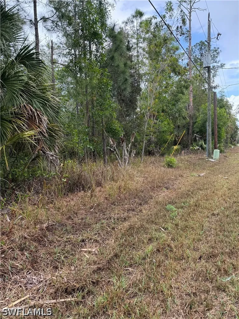 33RD Avenue NE Naples FL 34120