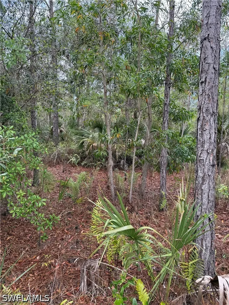 33RD Avenue NE Naples FL 34120