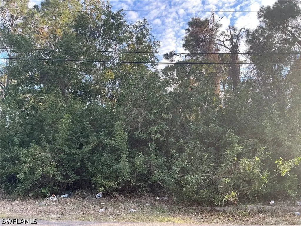 3811 4th Street W Lehigh Acres FL 33971