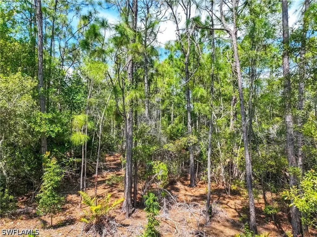 14734 Glen Eden Drive Naples FL 34110