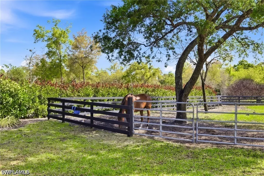 17700 Pronghorn Street Alva FL 33920