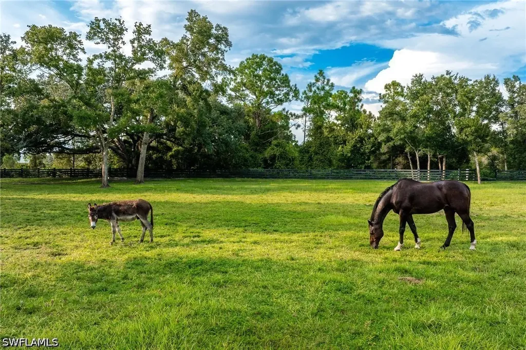 17701 Pronghorn Street Alva FL 33920