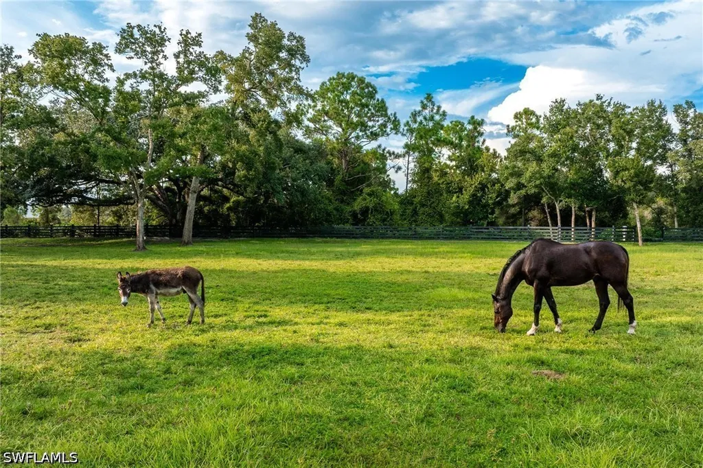17701 Pronghorn Street Alva FL 33920
