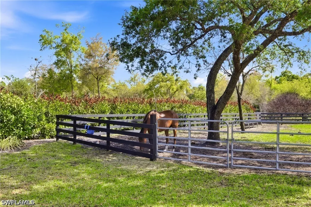17701 Pronghorn Street Alva FL 33920