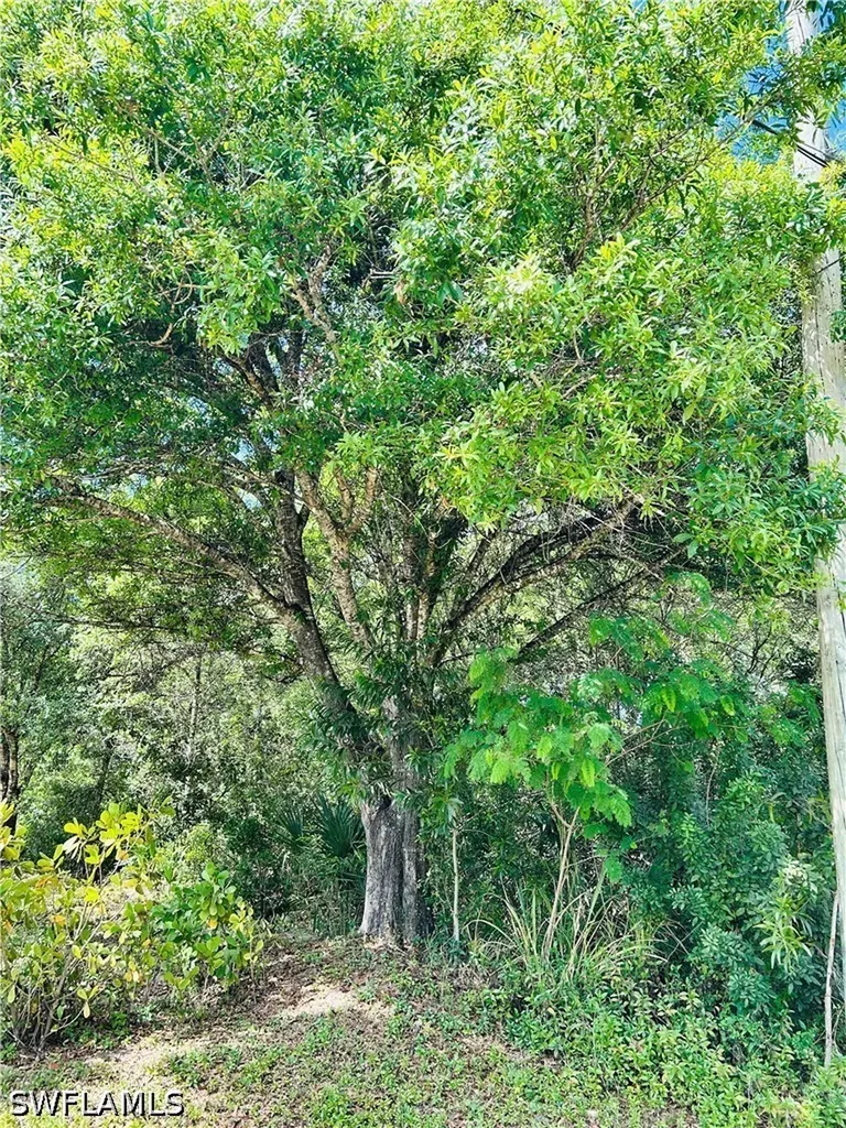 19850 Burgundy Farms Road Estero FL 33928