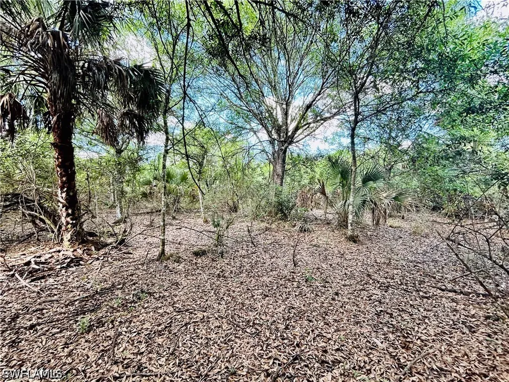 19850 Burgundy Farms Road Estero FL 33928