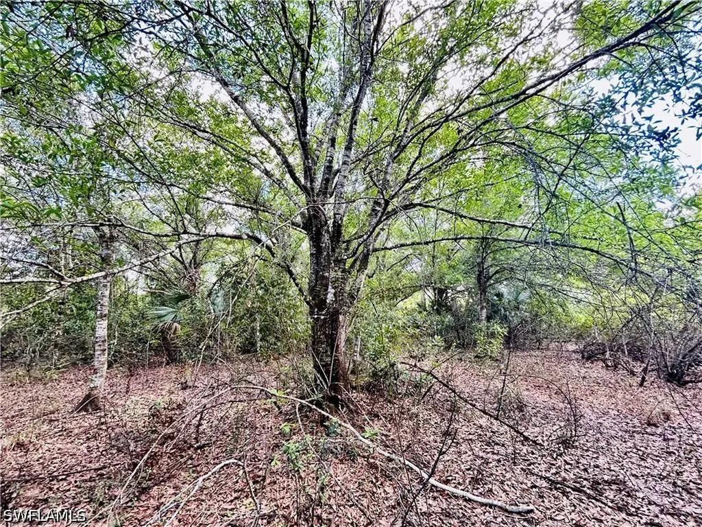 19850 Burgundy Farms Road Estero FL 33928