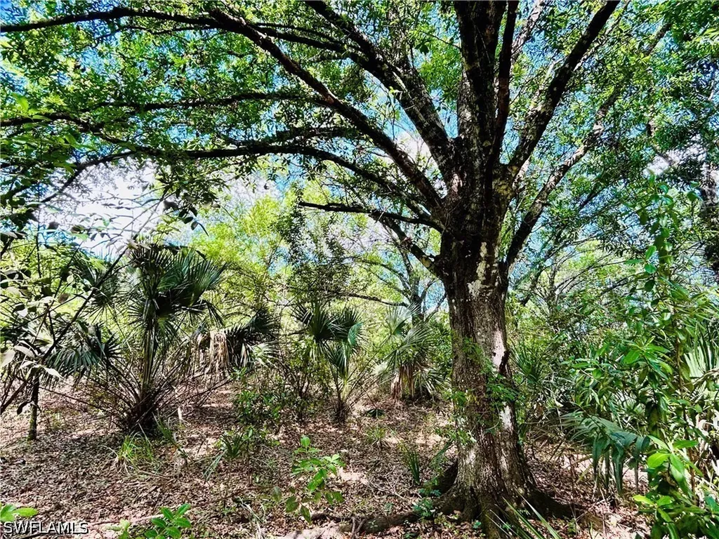 19850 Burgundy Farms Road Estero FL 33928