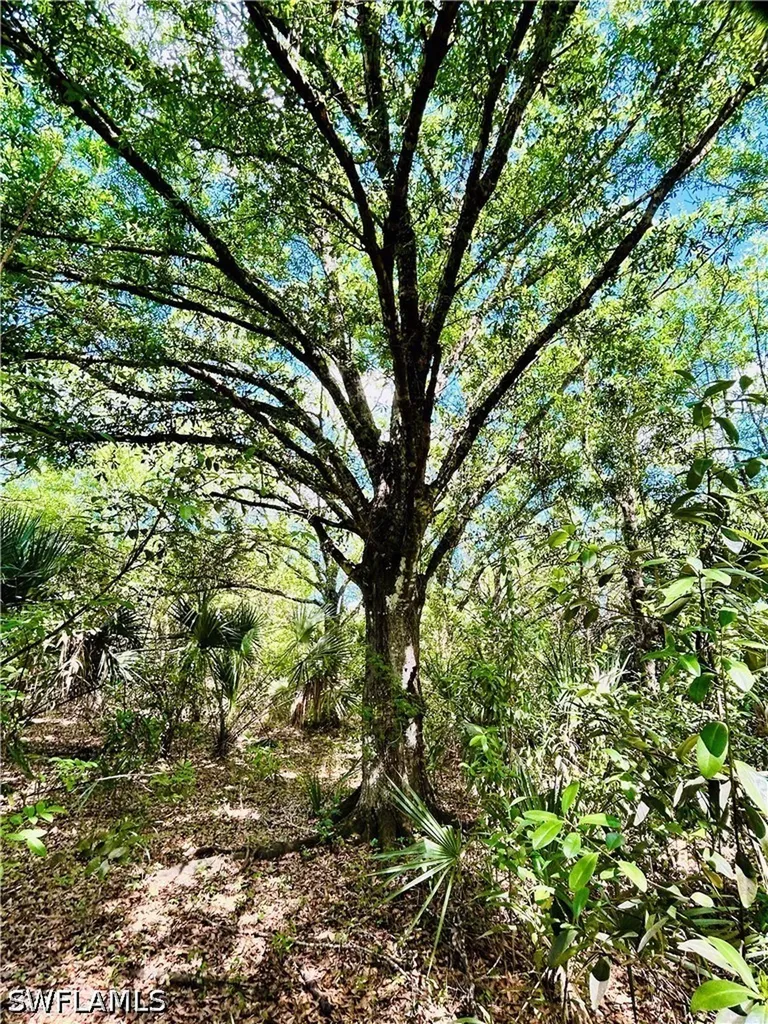 19850 Burgundy Farms Road Estero FL 33928