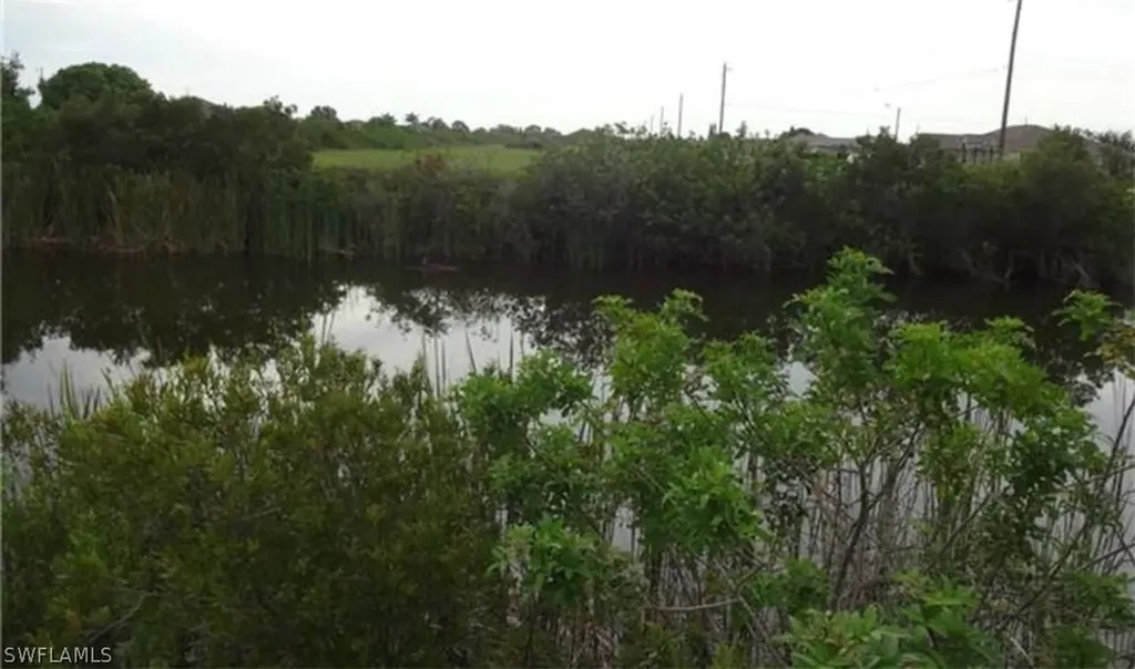 1317 NW 13th Street Cape Coral FL 33993
