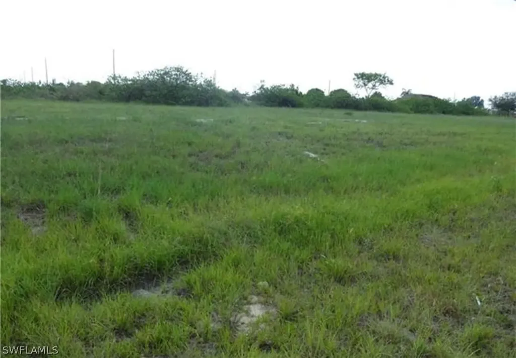 1317 NW 13th Street Cape Coral FL 33993