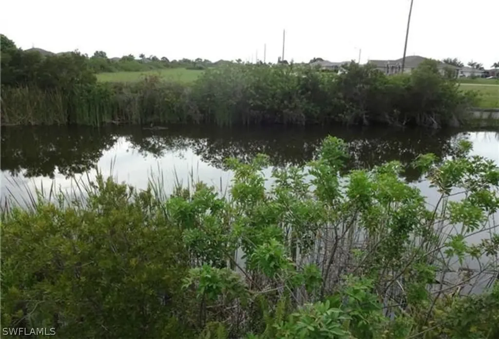 1317 NW 13th Street Cape Coral FL 33993
