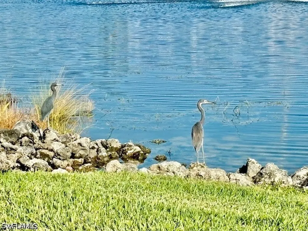 28318 Captiva Shell Loop Bonita Springs FL 34135