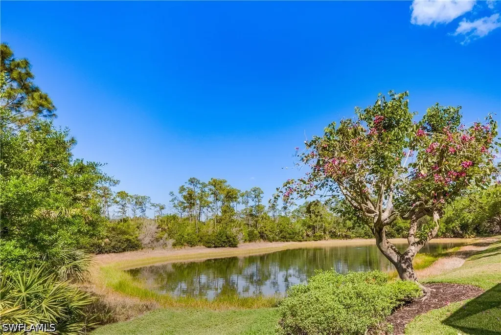 28312 Terrazza Lane Naples FL 34110