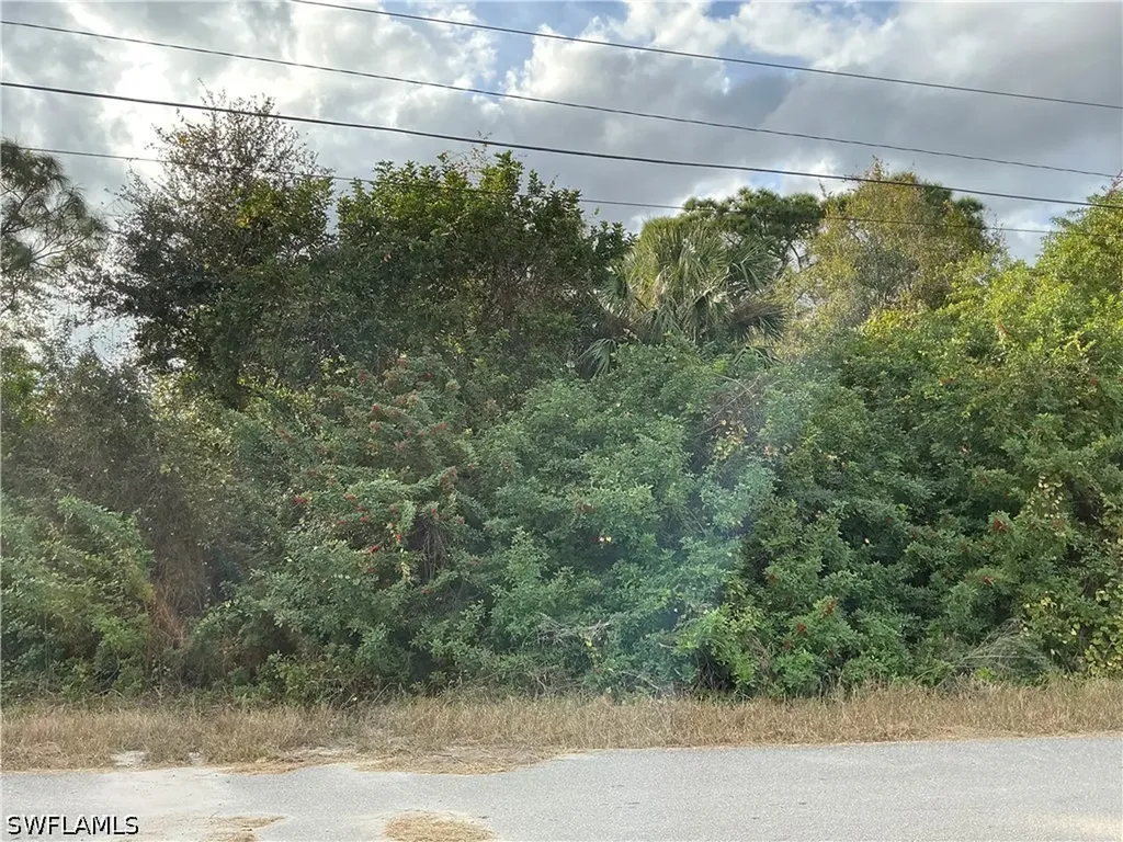 54 Gene Avenue S Lehigh Acres FL 33976