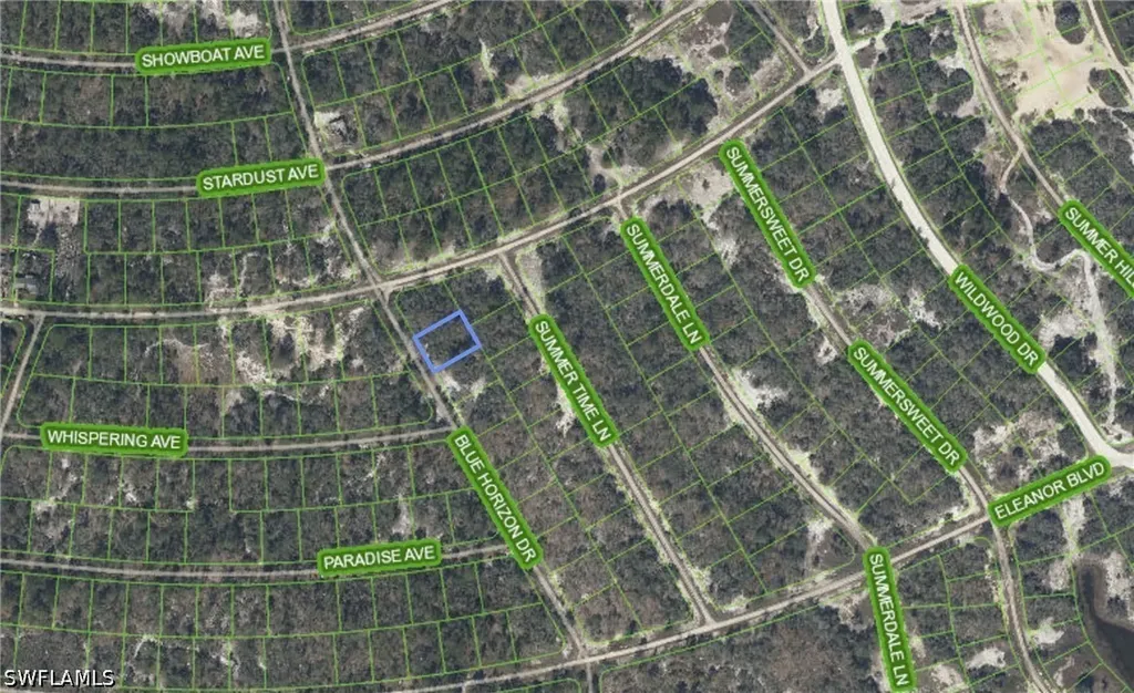 297 Blue Horizon Drive Lake Placid FL 33852