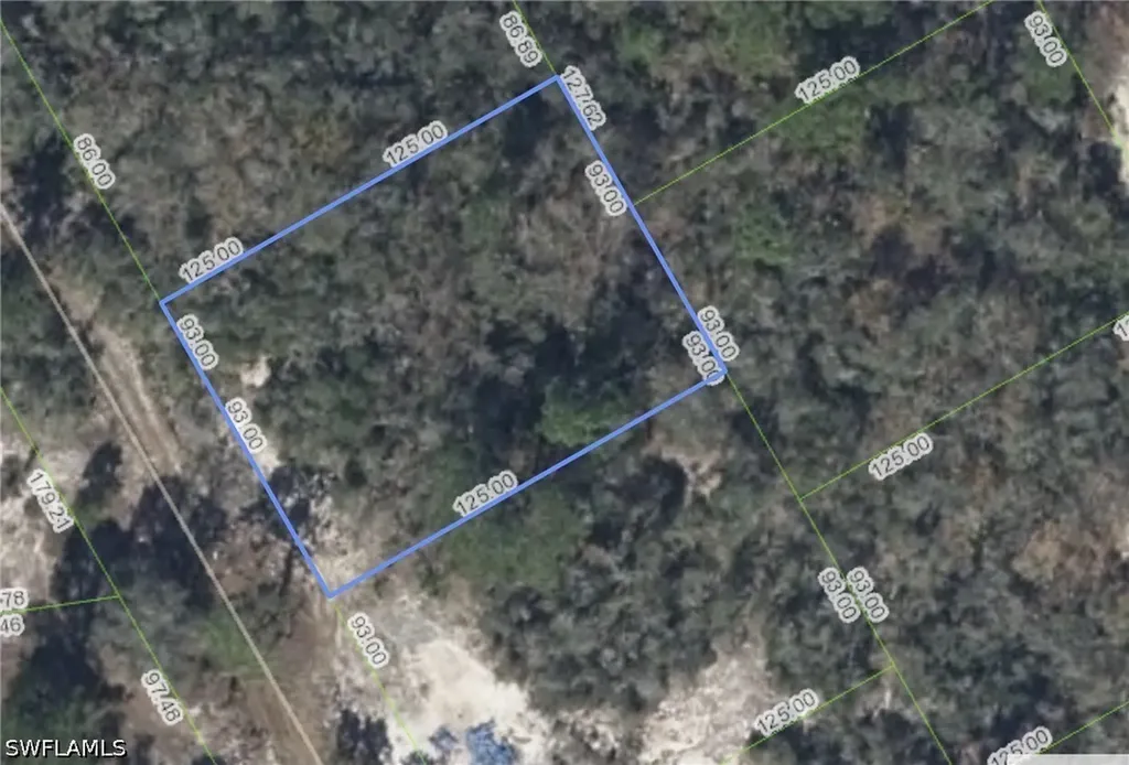 297 Blue Horizon Drive Lake Placid FL 33852
