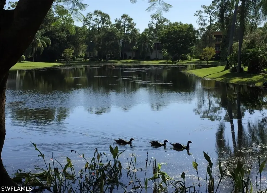 1645 Spoonbill Lane Naples FL 34105