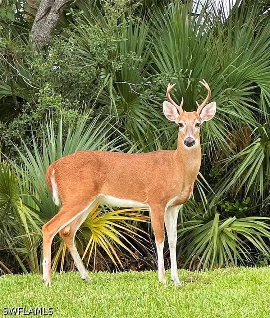 8555 Naples Heritage Drive Naples FL 34112