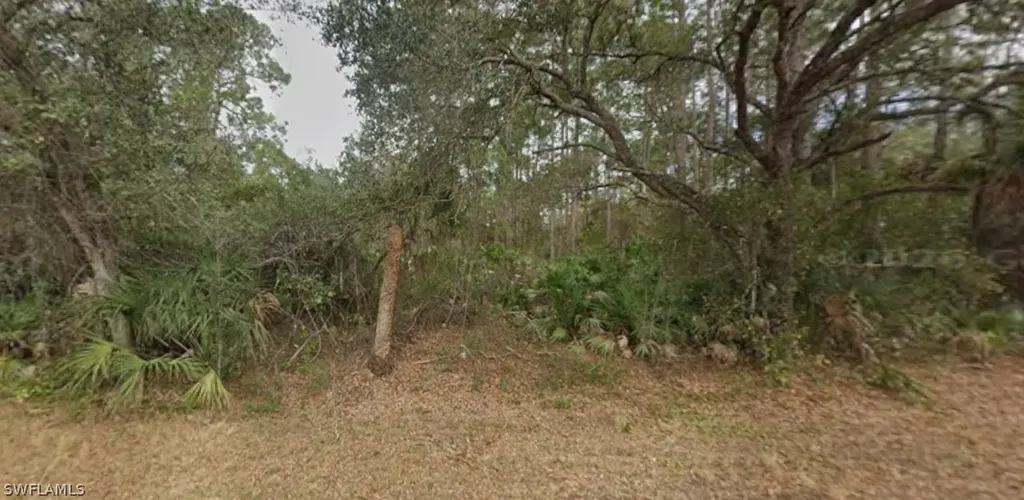 2004 Wells Avenue Alva FL 33920