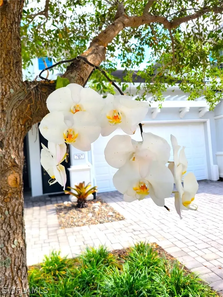 6954 Avalon Circle Naples FL 34112