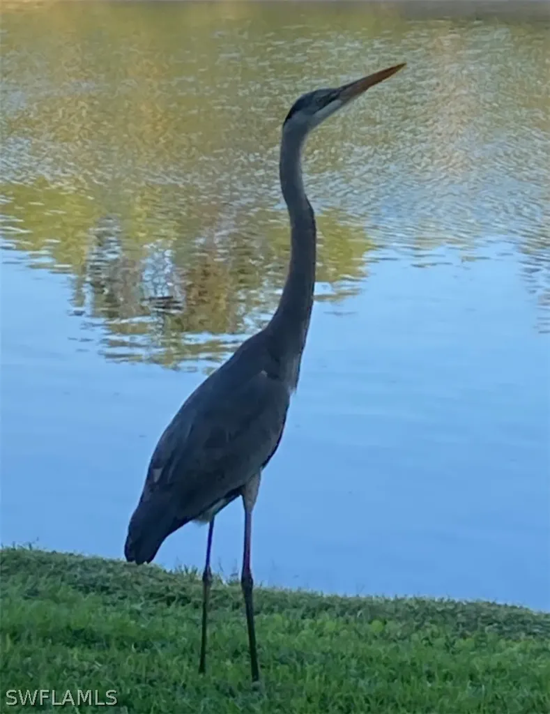 9241 Spring Run Boulevard Estero FL 34135