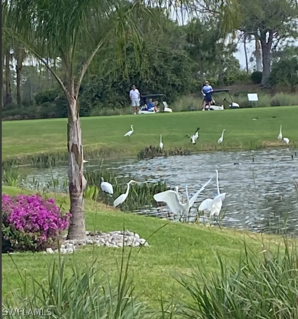 9241 Spring Run Boulevard Estero FL 34135