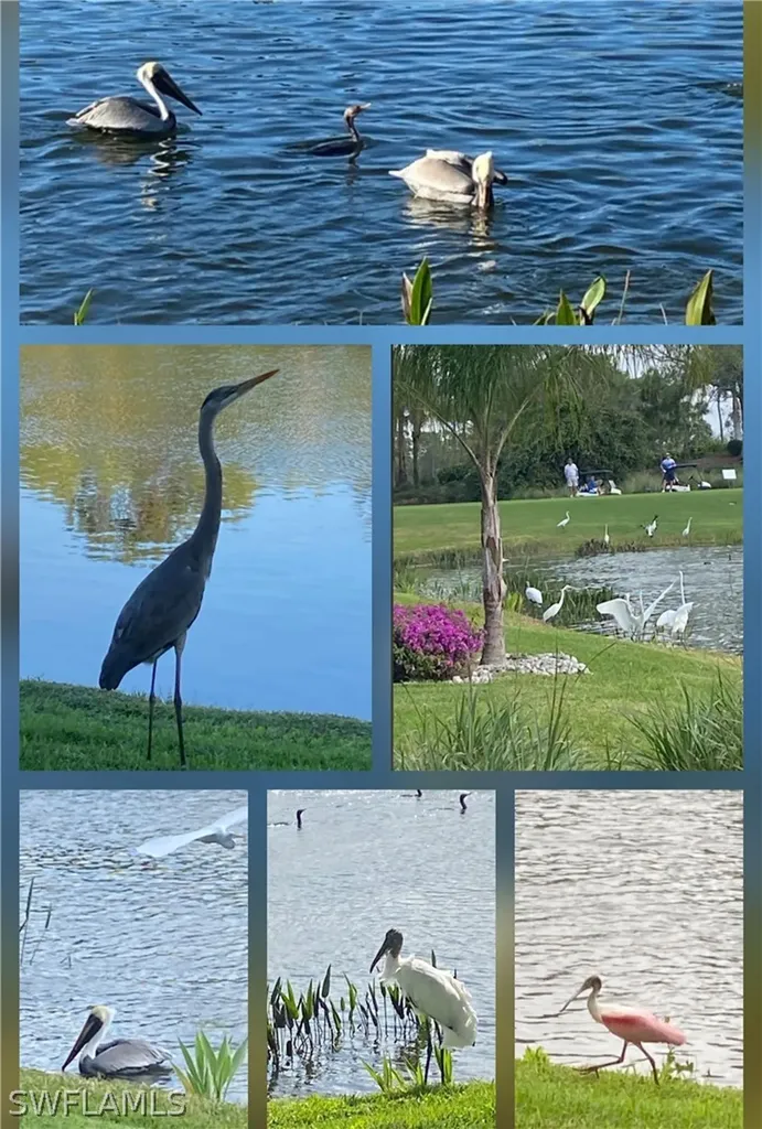 9241 Spring Run Boulevard Estero FL 34135