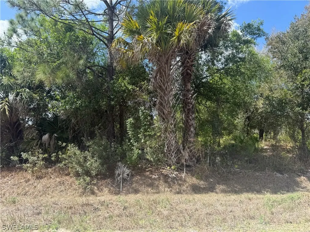 5905 Sally Avenue N Lehigh Acres FL 33971