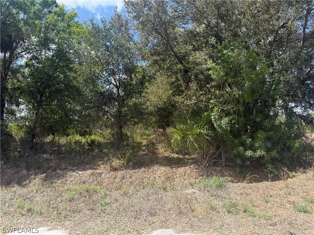 5905 Sally Avenue N Lehigh Acres FL 33971