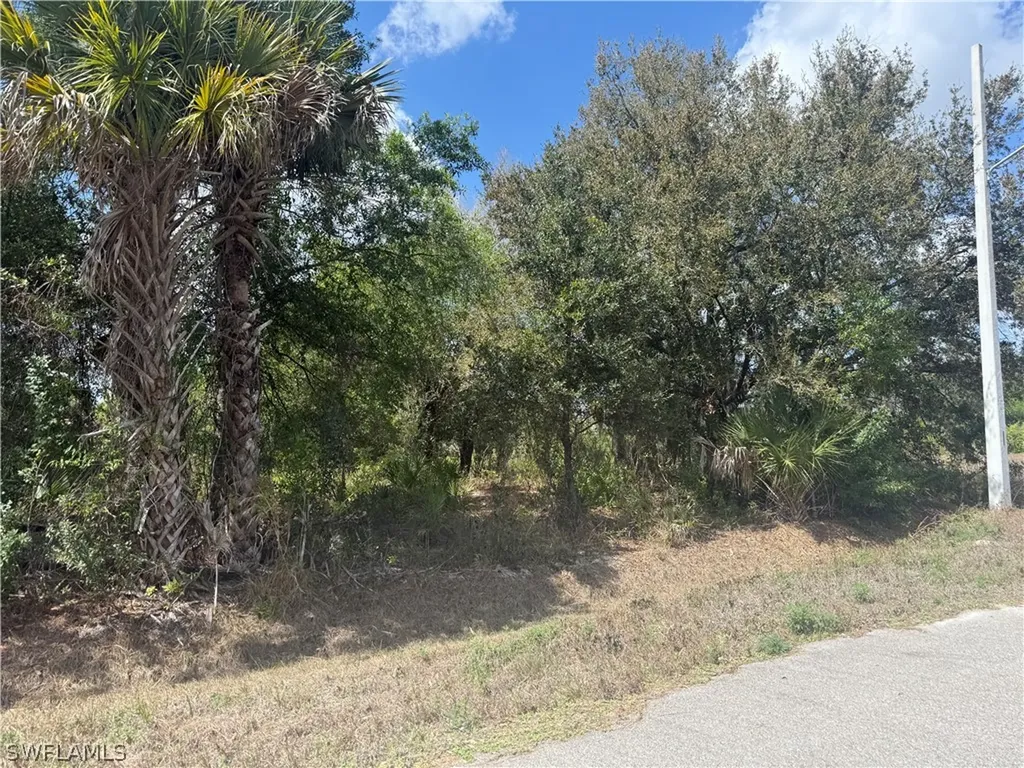5905 Sally Avenue N Lehigh Acres FL 33971