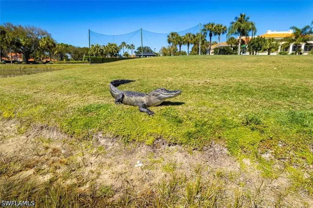 26483 Bonita Fairways Boulevard Bonita Springs FL 34135