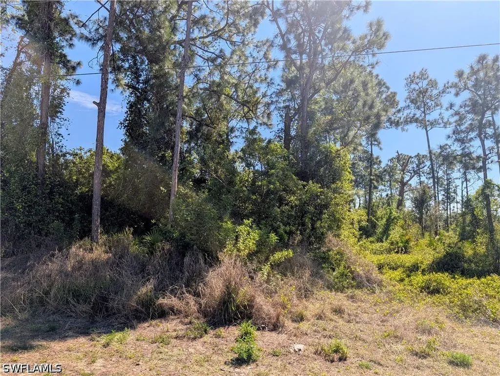 513 Beach Avenue S Lehigh Acres FL 33974