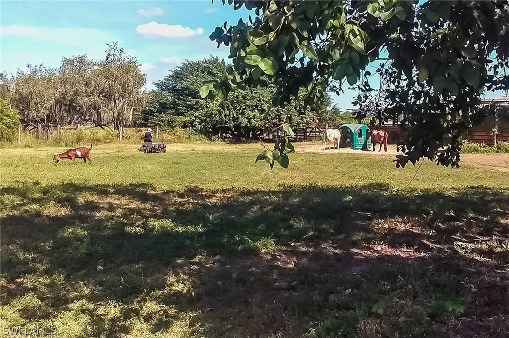 26118 Cutting Horse Lane Bonita Springs FL 34135