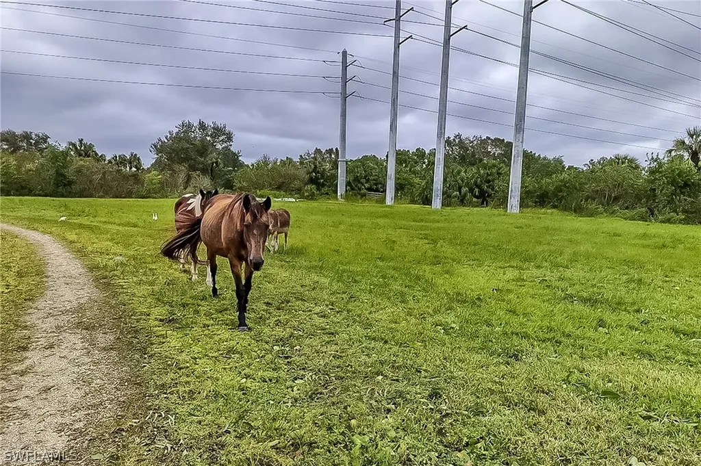 0000 Cutting Horse Lane Bonita Springs FL 34135