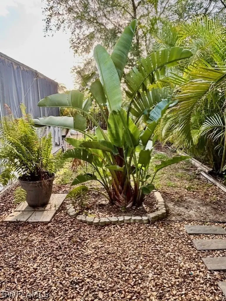 1113 NE 32nd Street Cape Coral FL 33909
