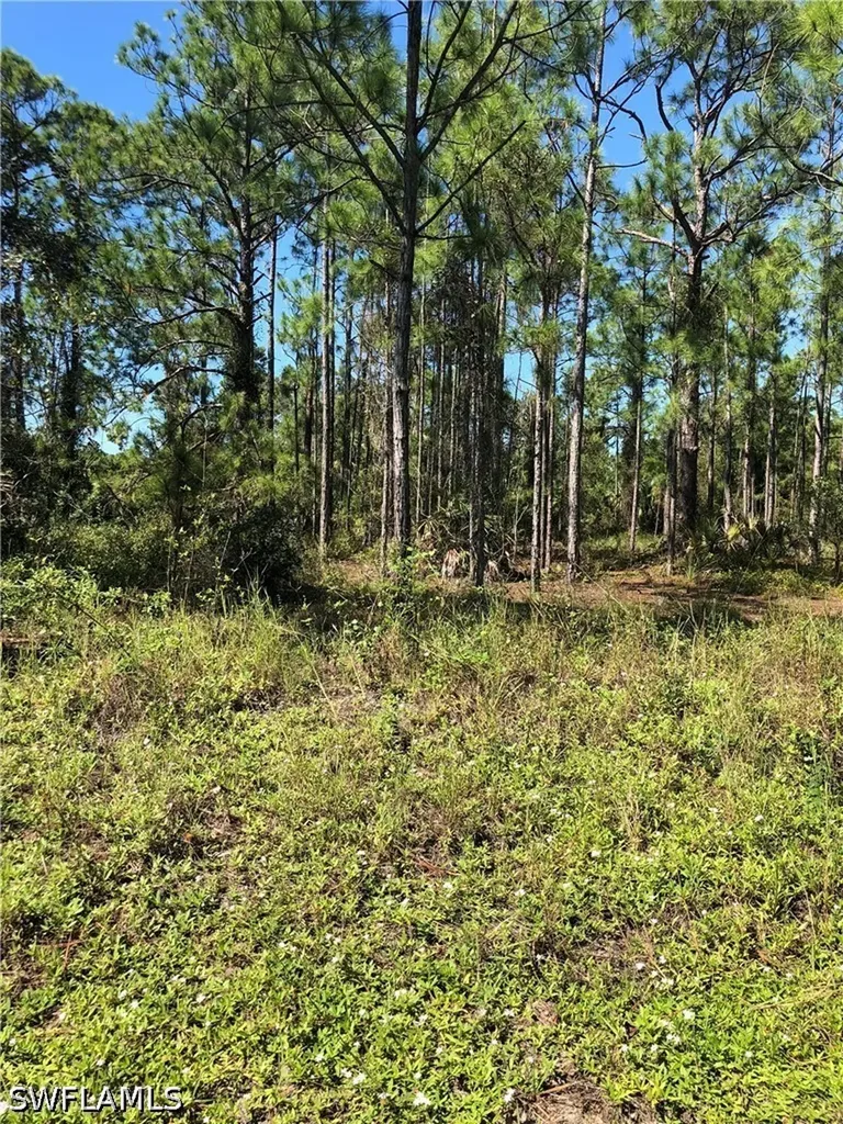 640 Naples Avenue S Lehigh Acres FL 33974
