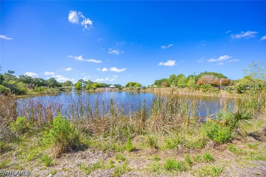 21701 Arenga Lane Estero FL 33928