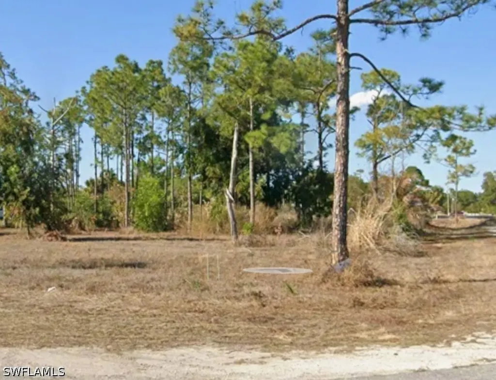 1201 Elaine Avenue N Lehigh Acres FL 33971