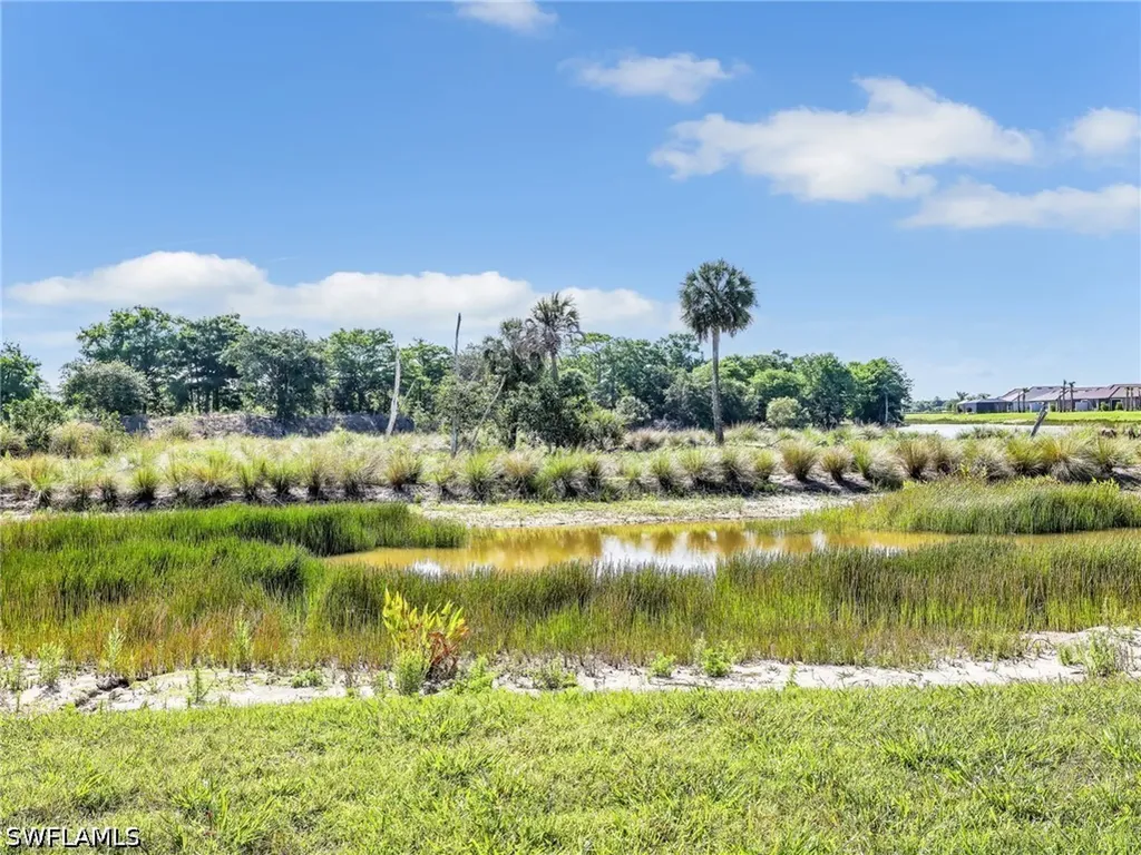 15558 Vittorio Street Naples FL 34114