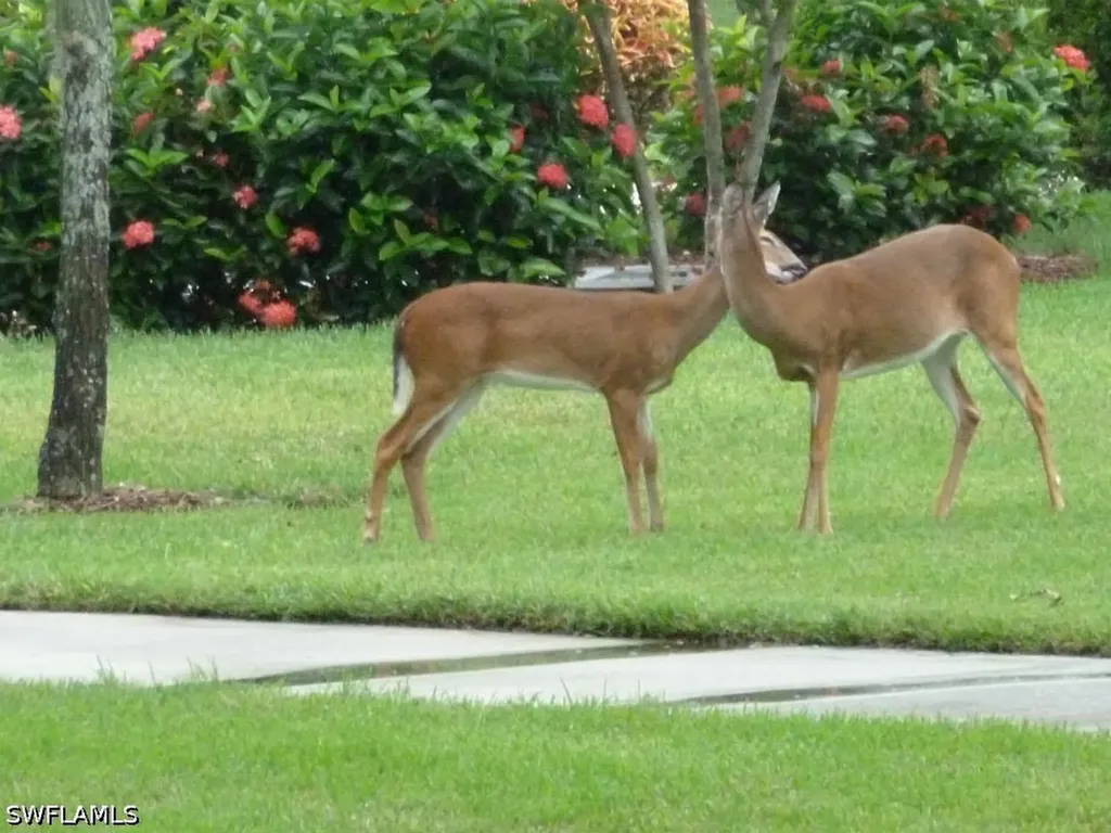 3850 Sawgrass Way Naples FL 34112