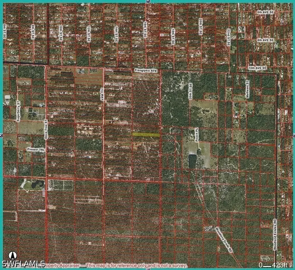 Frangipani & Ivy Way Avenue Naples FL 34120