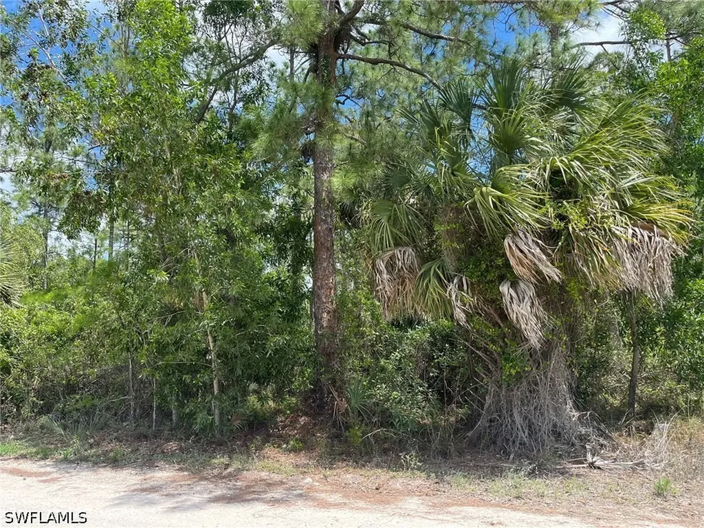 1920 Blue Sage Drive Naples FL 34117