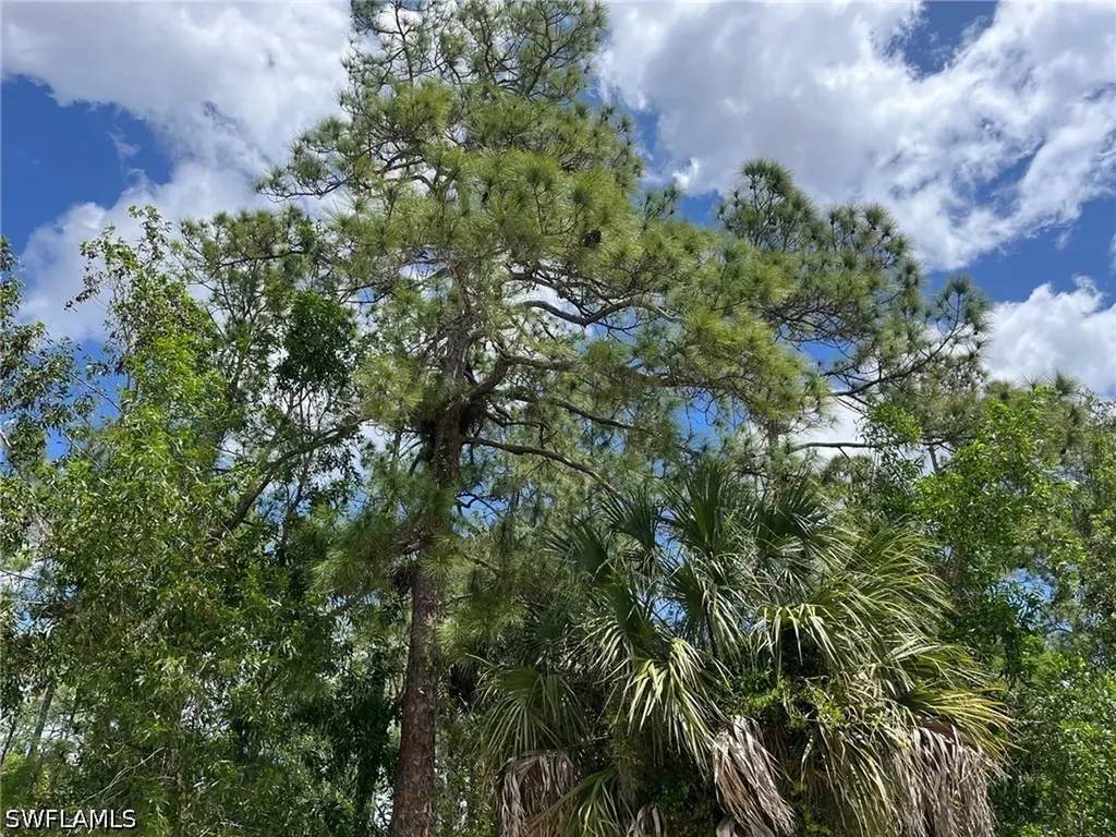 1920 Blue Sage Drive Naples FL 34117
