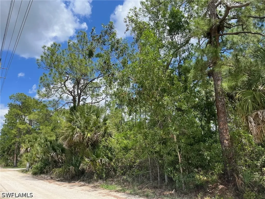 1920 Blue Sage Drive Naples FL 34117