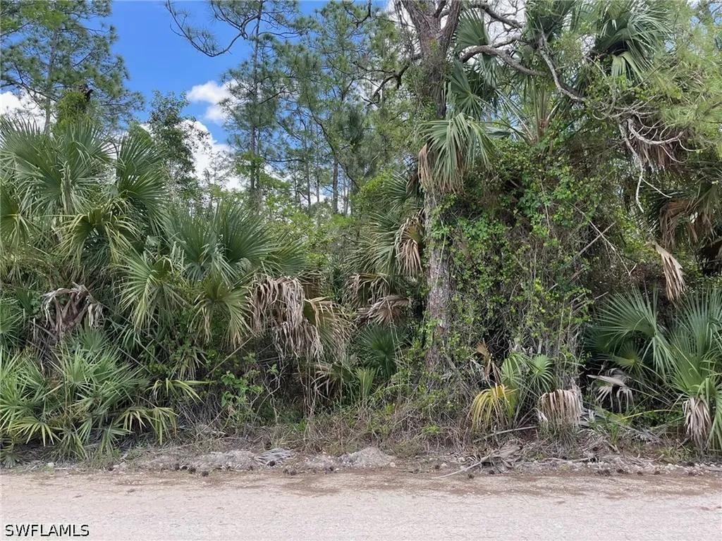 1920 Blue Sage Drive Naples FL 34117