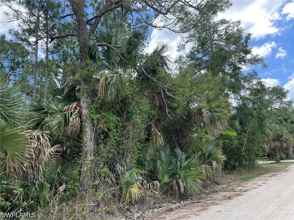 1920 Blue Sage Drive Naples FL 34117