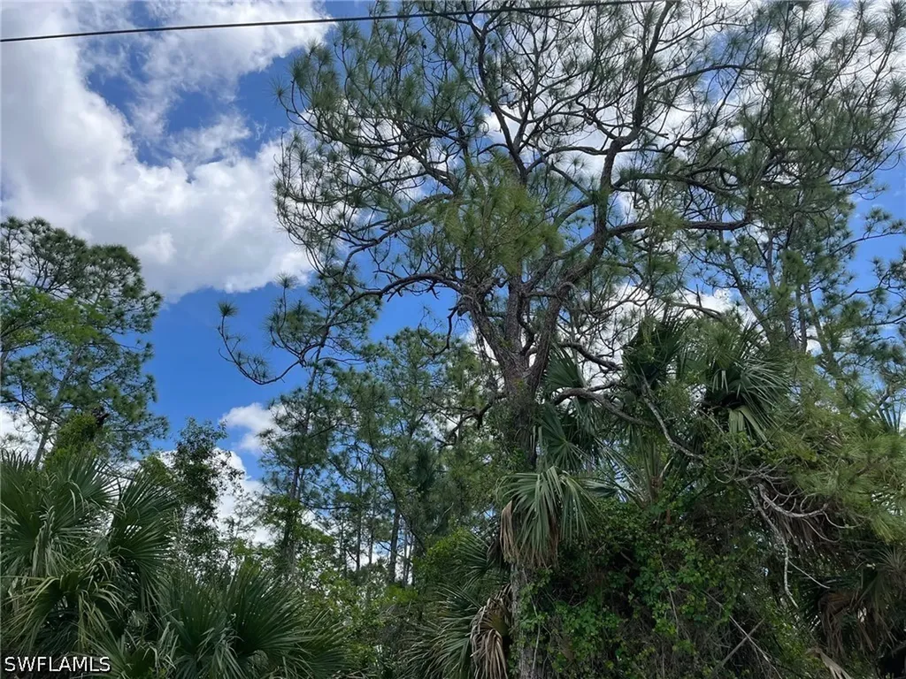 1930 Blue Sage Drive Naples FL 34117