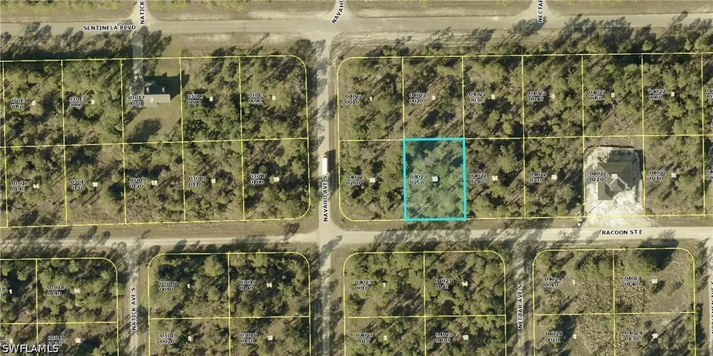 1225 Racoon Street E Lehigh Acres FL 33974